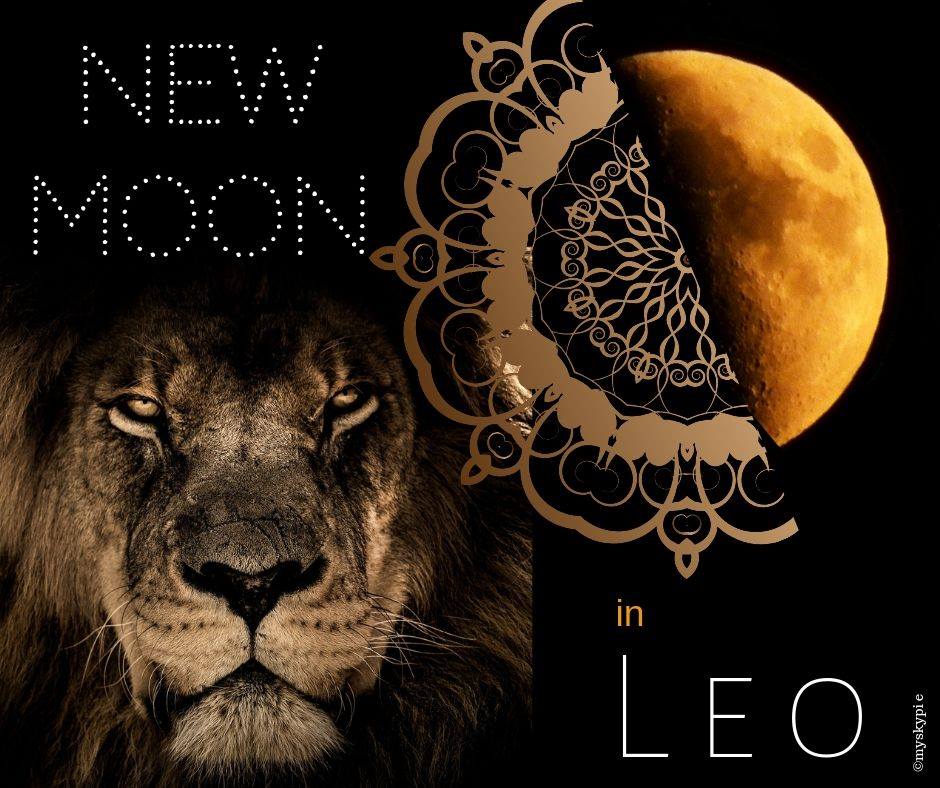 NEW MOON IN LEO 28 JULY 2022 My Sky Pie