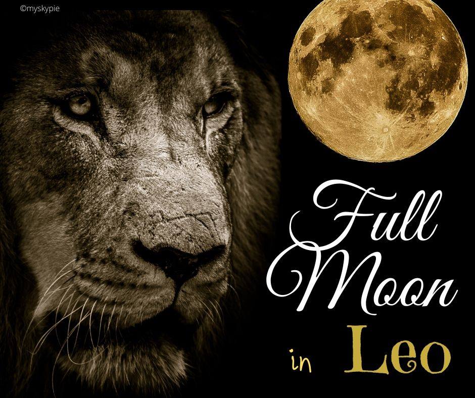 OOB (only just) FULL MOON IN LEO 25 JANUARY 2024 – My Sky Pie