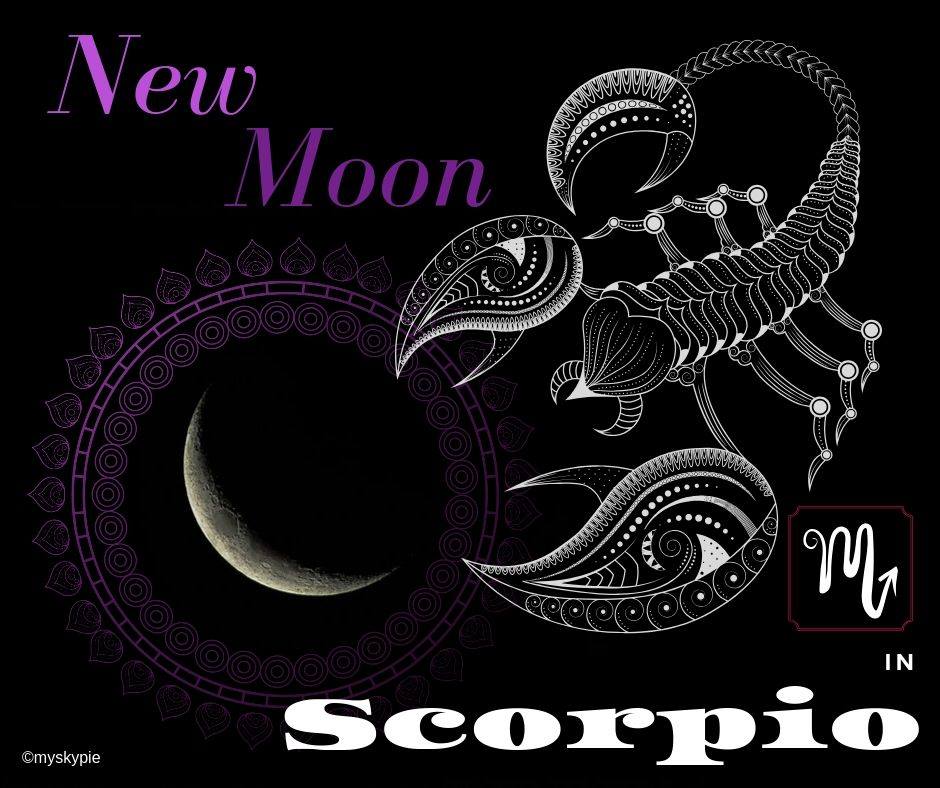 NEW MOON IN SCORPIO 01 NOVEMBER 2024 – My Sky Pie