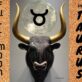 FULL MOON IN TAURUS 05 NOVEMBER 2025