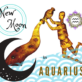 NEW MOON IN AQUARIUS 17 FEBRUARY 2026 AND ANNULAR SOLAR ECLIPSE